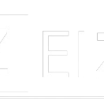 eizy.in White logo